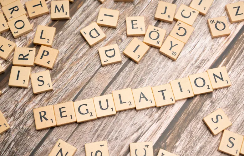 Dematerialisation Guide: Private Companies Navigate Compliance for Digital Prosperity