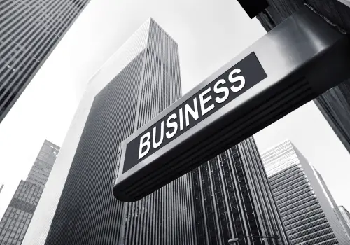 Types of business entities in the USA and how to choose the right one for you?