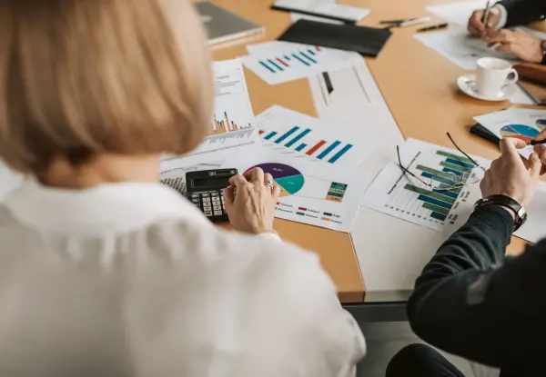 Due Diligence And Finance Projection